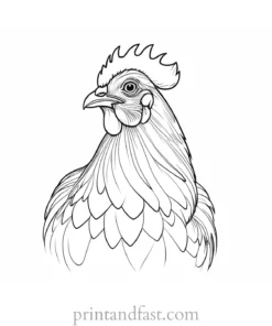 chicken coloring page sketch