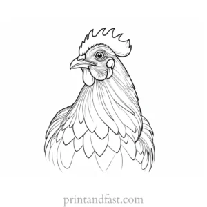 chicken coloring page sketch