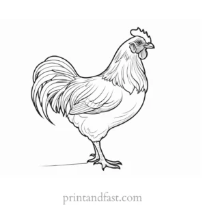 chicken coloring page template