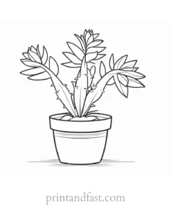 christmas Cactus Coloring Page