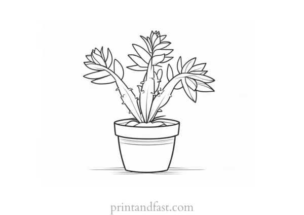 christmas Cactus Coloring Page