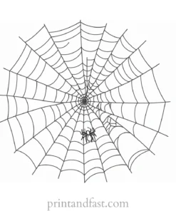 coloring page halloween spider web