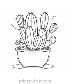 creative Cactus Coloring Page