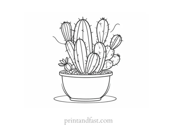 creative Cactus Coloring Page