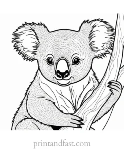 creative Koala Coloring Page