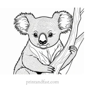 creative Koala Coloring Page