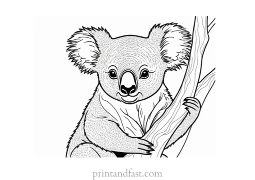 creative Koala Coloring Page