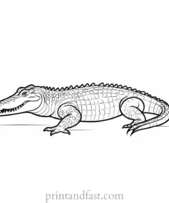 crocodile coloring page adult