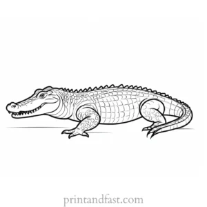 crocodile coloring page adult