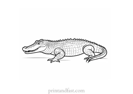 crocodile coloring page adult