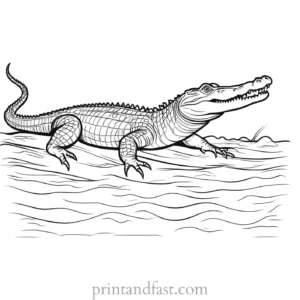 crocodile coloring page advanced