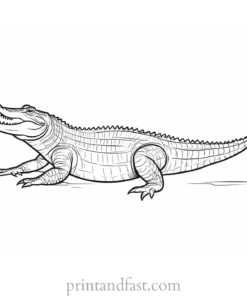 crocodile coloring page cartoon