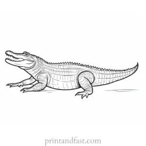 crocodile coloring page cartoon