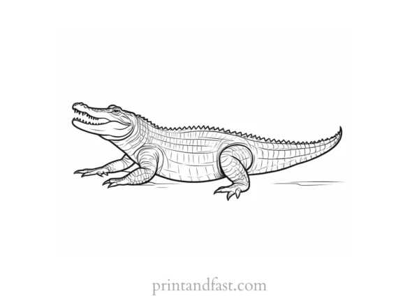 crocodile coloring page cartoon