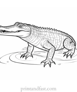 crocodile coloring page detailed