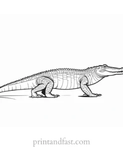 crocodile coloring page for kids