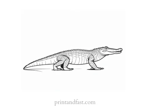 crocodile coloring page for kids