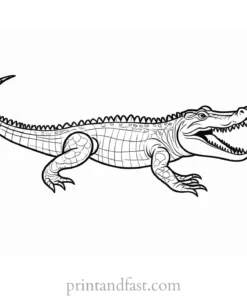 crocodile coloring page realistic