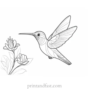 cute Hummingbird Coloring Page