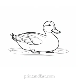 cute duck coloring page