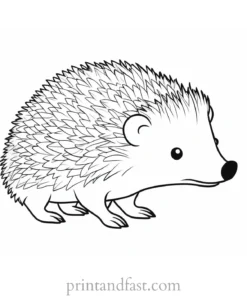 cute hedgehog coloring page