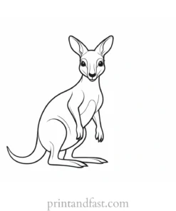 cute kangaroo coloring page