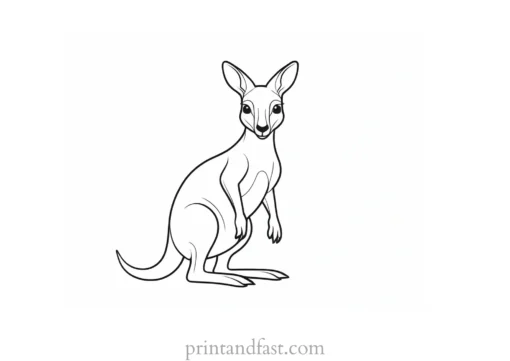 cute kangaroo coloring page