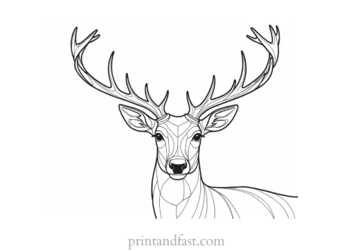 deer coloring page antlers