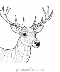 deer coloring page easy