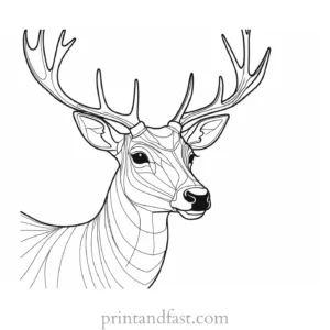 deer coloring page easy