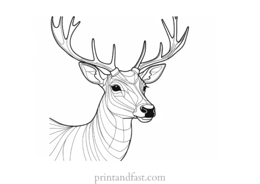 deer coloring page easy