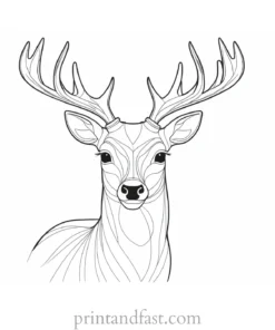 deer coloring page for kids