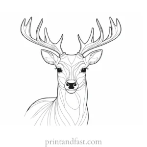 deer coloring page for kids