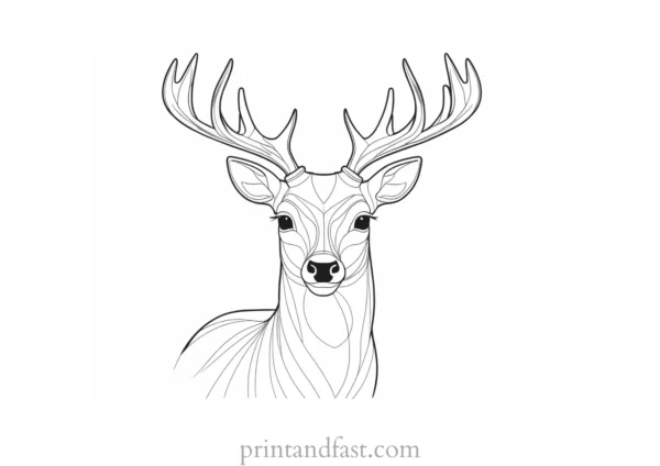 deer coloring page for kids