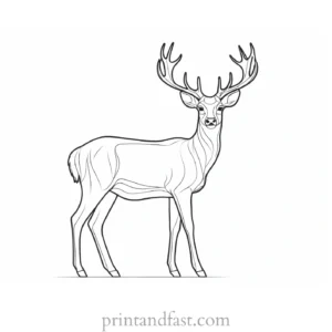 deer coloring page realistic