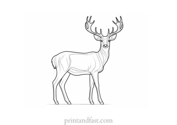 deer coloring page realistic