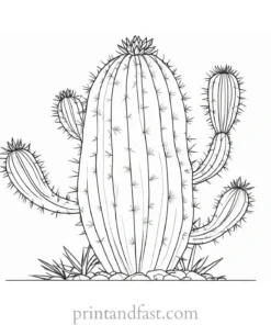 detailed Cactus Coloring Page