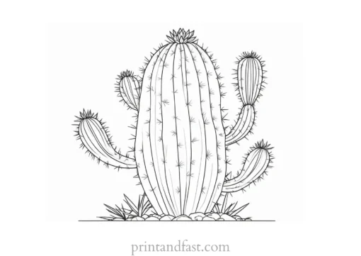 detailed Cactus Coloring Page