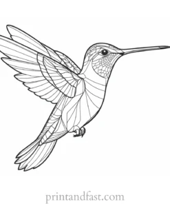 detailed Hummingbird Coloring Page