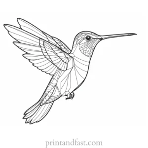 detailed Hummingbird Coloring Page