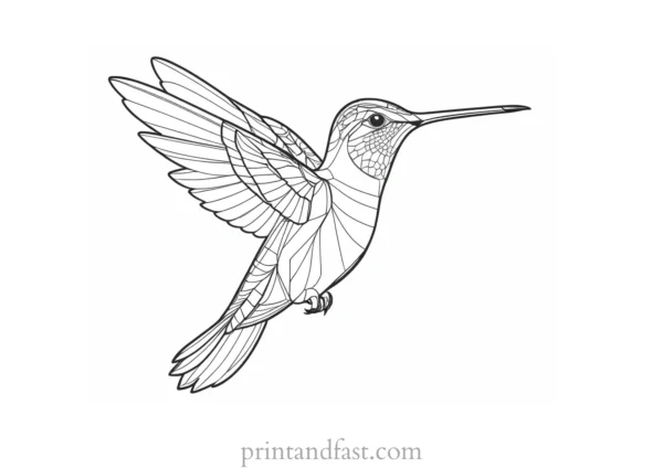 detailed Hummingbird Coloring Page