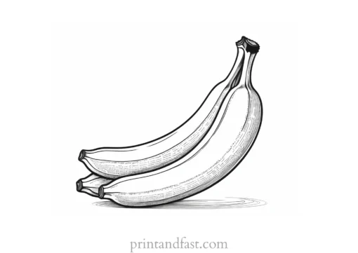 detailed banana coloring page