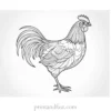 detailed chicken coloring page