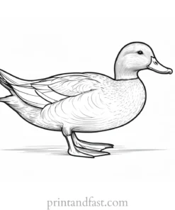 detailed duck coloring page