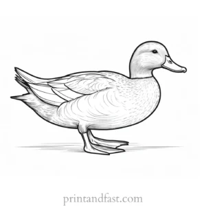 detailed duck coloring page