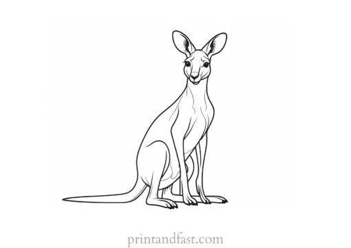 detailed kangaroo coloring page