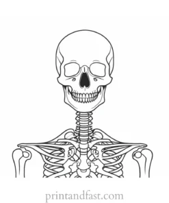 detailed skeleton coloring page