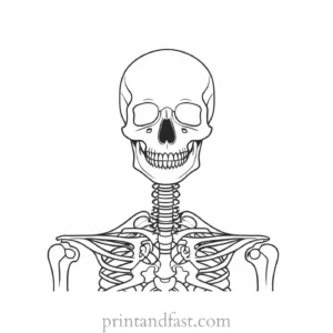 detailed skeleton coloring page