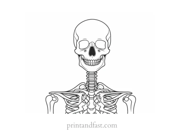 detailed skeleton coloring page