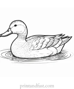 duck coloring page PDF